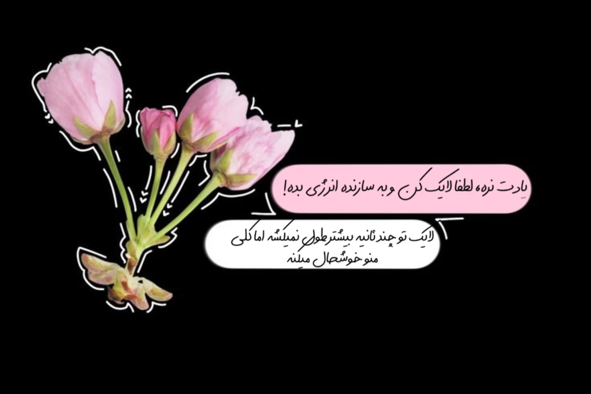 عکس شاید من تستچی ام !