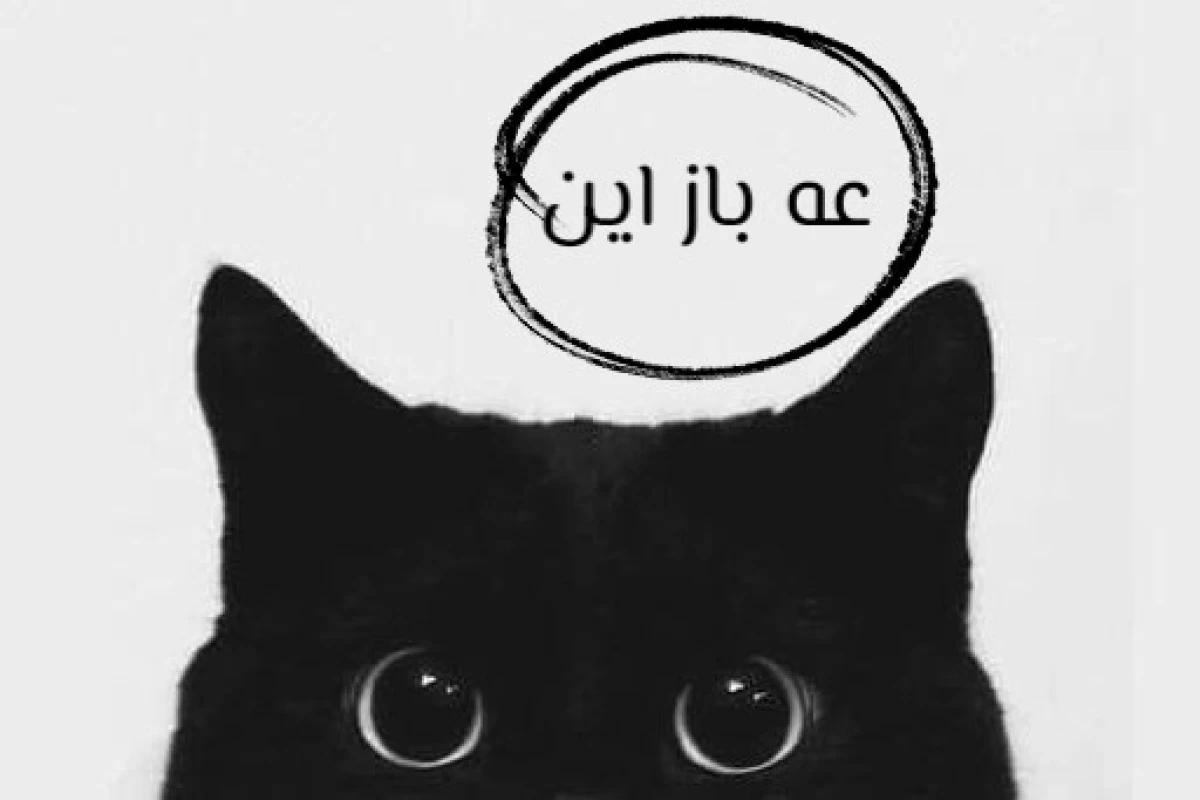 عکس میولای چگونه می‌زیست؟