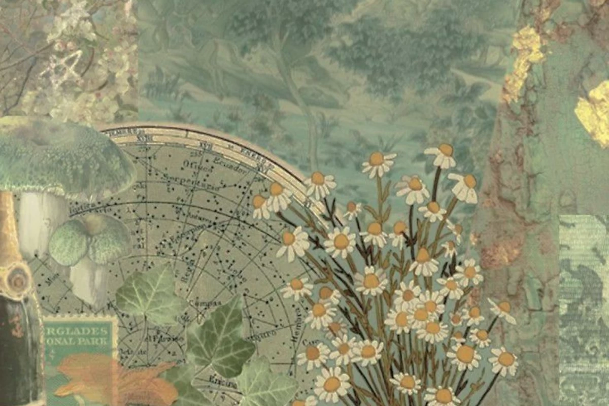 عکس چند توصیه برای افراد دارای ADHD