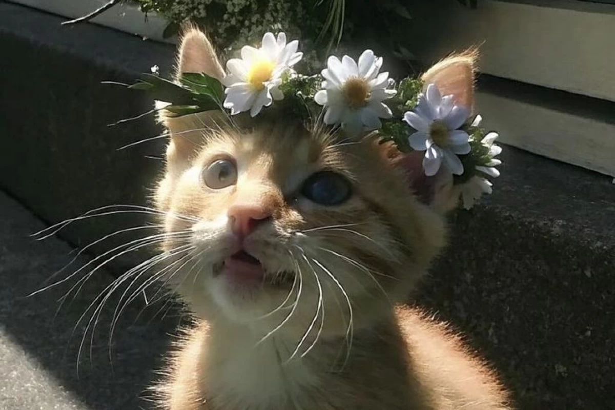 عکس نقاشی و طراحی 🎨🖌