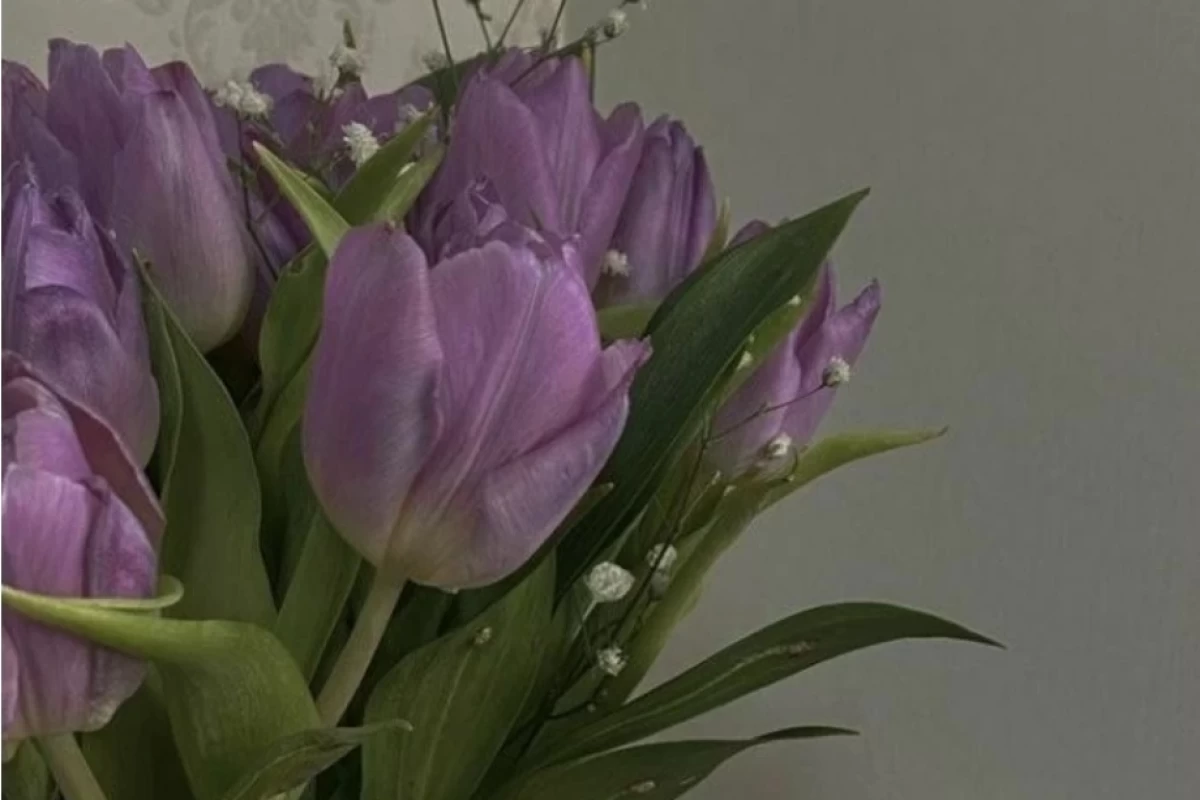 عکس راهنما ی دستاورد های تستچی