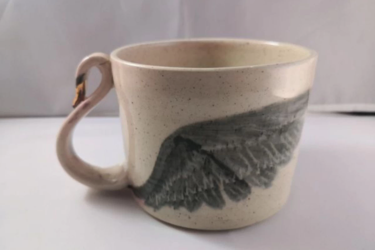 عکس رقص باله؛ سفری از نوک انگشتان تا آسمان هنر