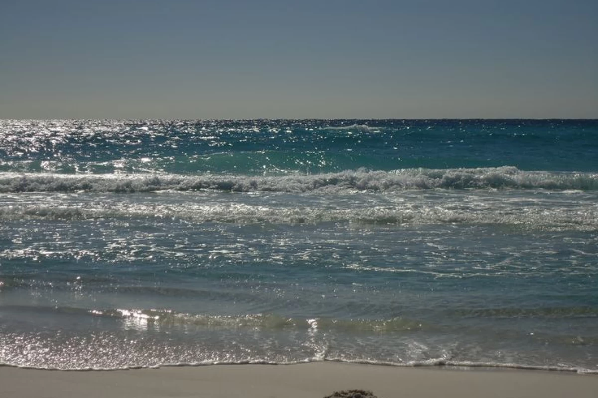 عکس چرا قدم زدن کنار " دریا " شبیه مدیتیشن است ؟