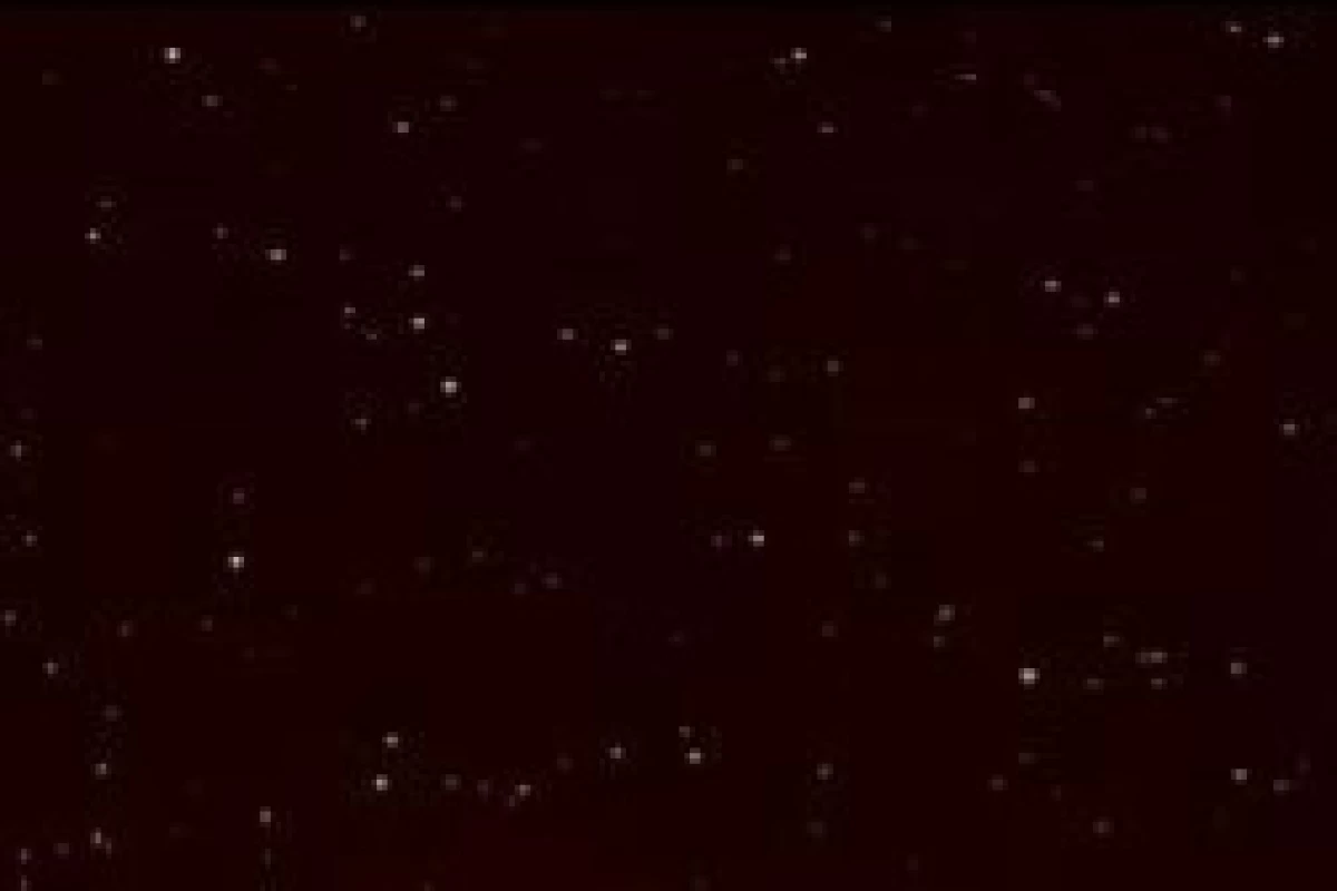 عکس ۱۰ فناوری که تا سال ۲۰۳۰ دنیا را عوض می‌کنند.