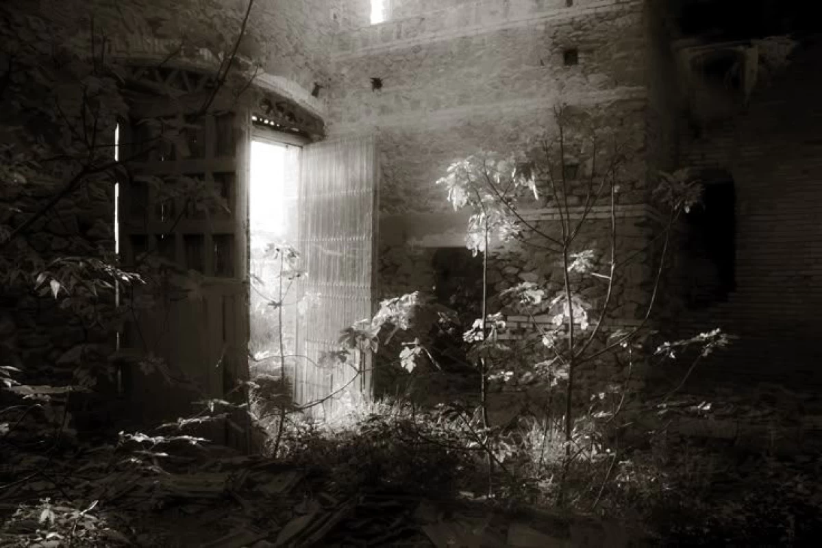 عکس عـار من.