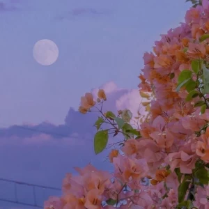 عکس درباره ی من