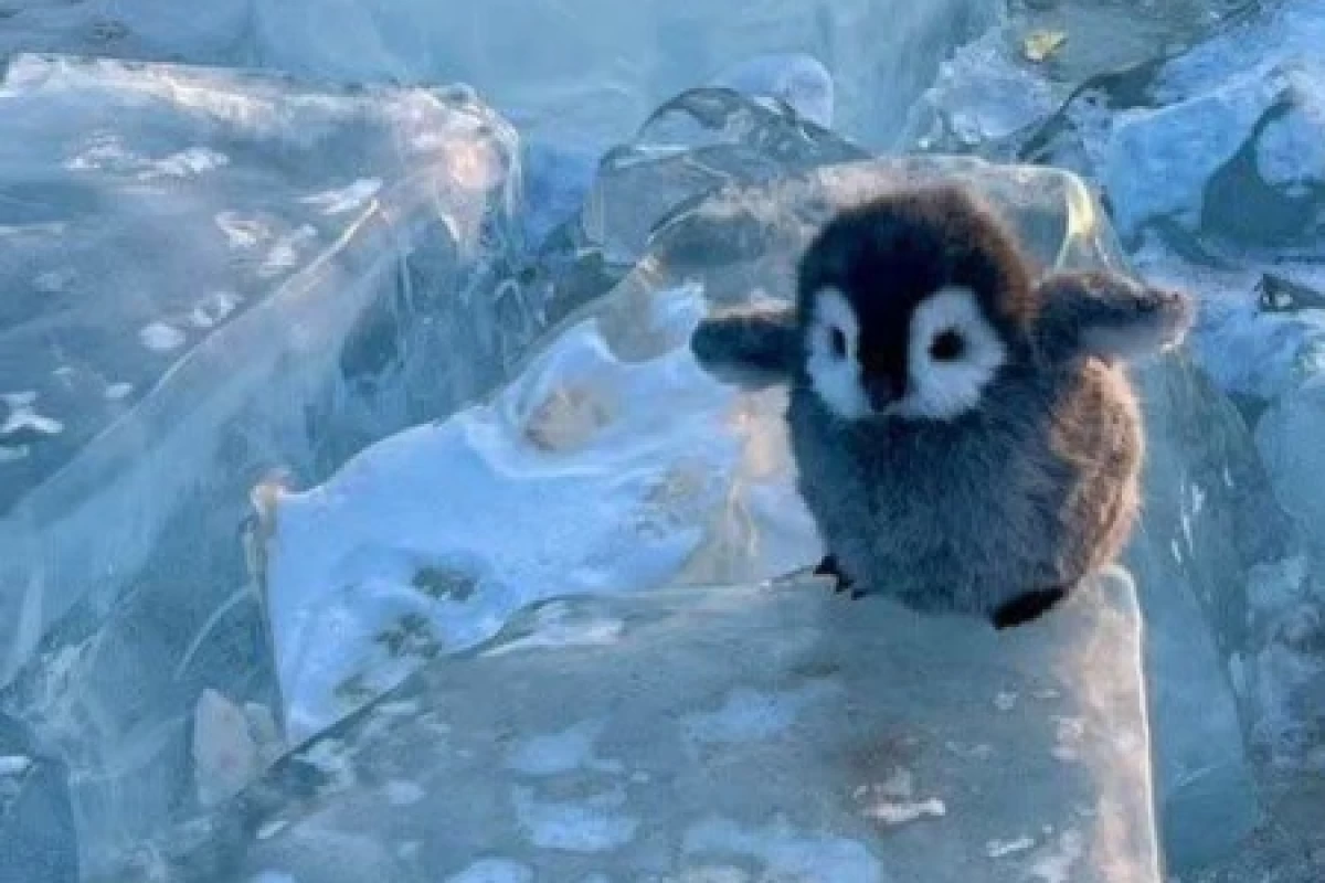 عکس درباره ی من