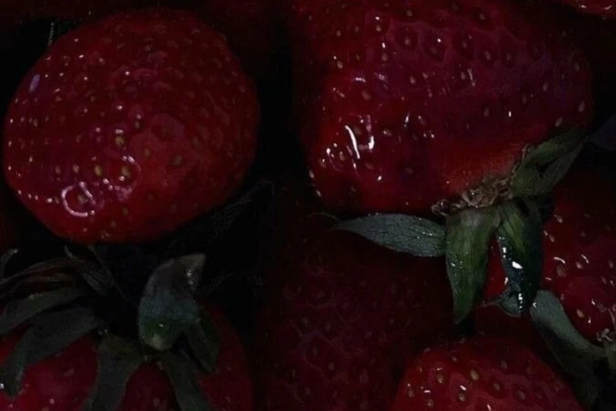 عکس ᴍʏ ʙɪᴏ