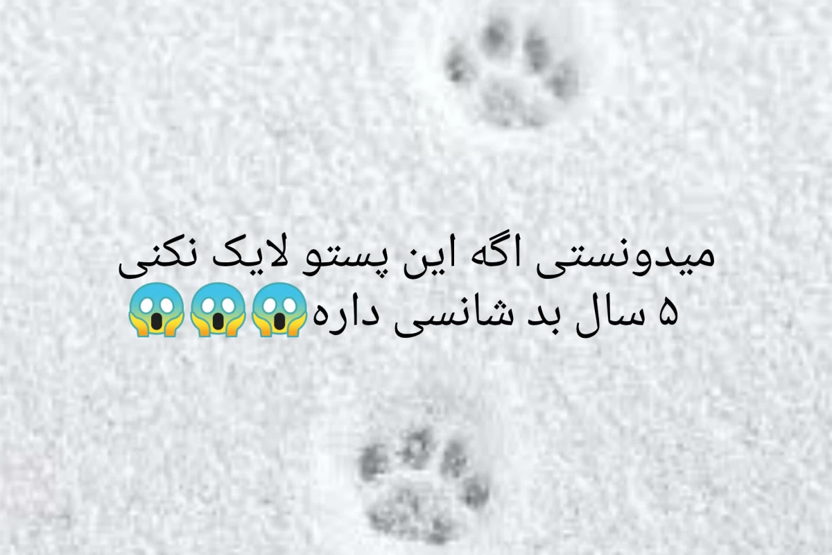 عکس مامانا اگه بیان تستچی(فان)