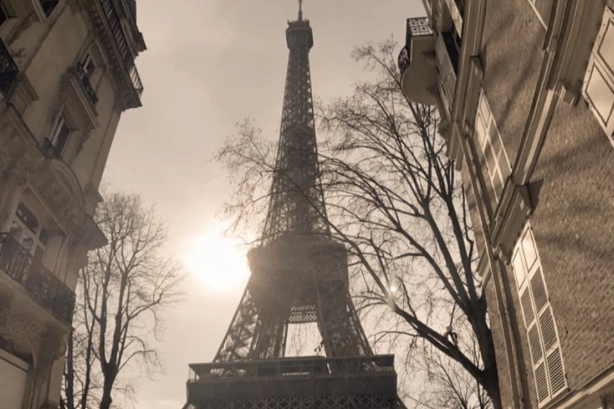 عکس راجب من