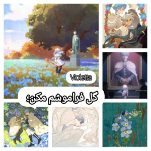 عکس گل فراموشم مکن؛