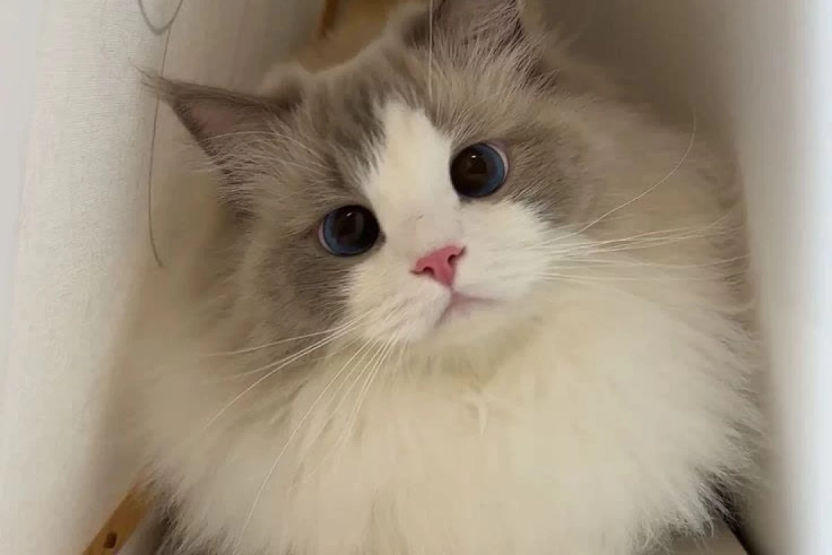 عکس اطلاعات عمومی