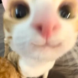 عکس خدایی....؟!