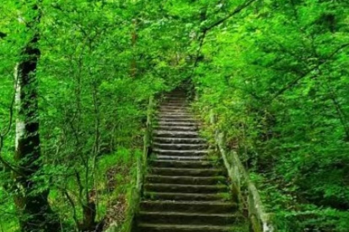 عکس خنده ۲۲