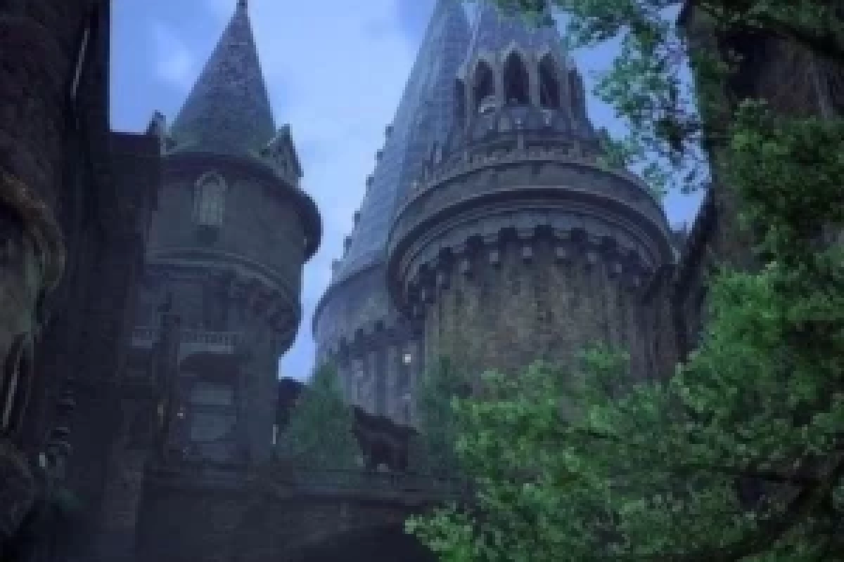 عکس پدر مادرم چه کسانی هستند  پارت 2