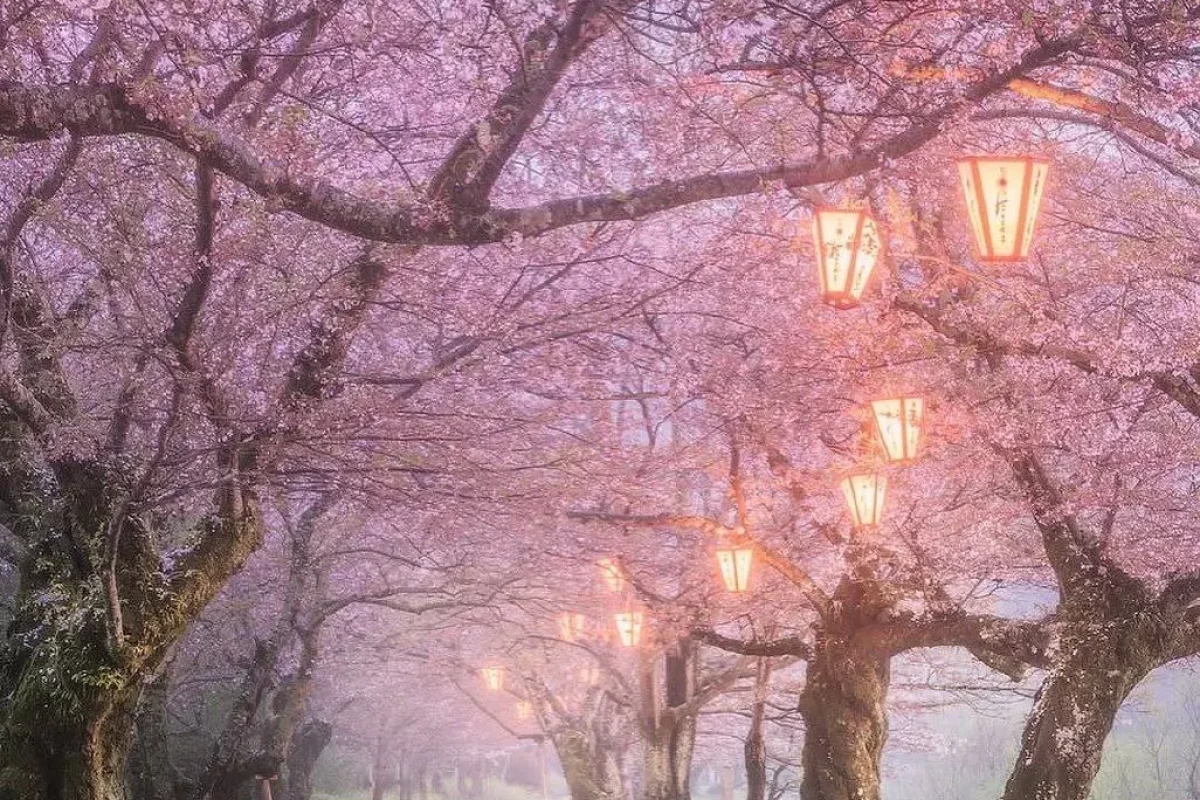 عکس انتظاز داری باور نکنم؟!