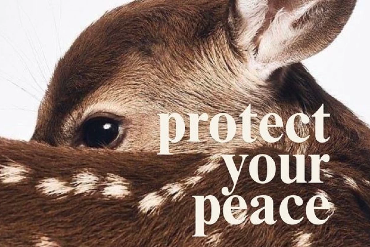 عکس 🌬:چرا تستچی بهترین سوشال مدیا برای نوجوانان است؟