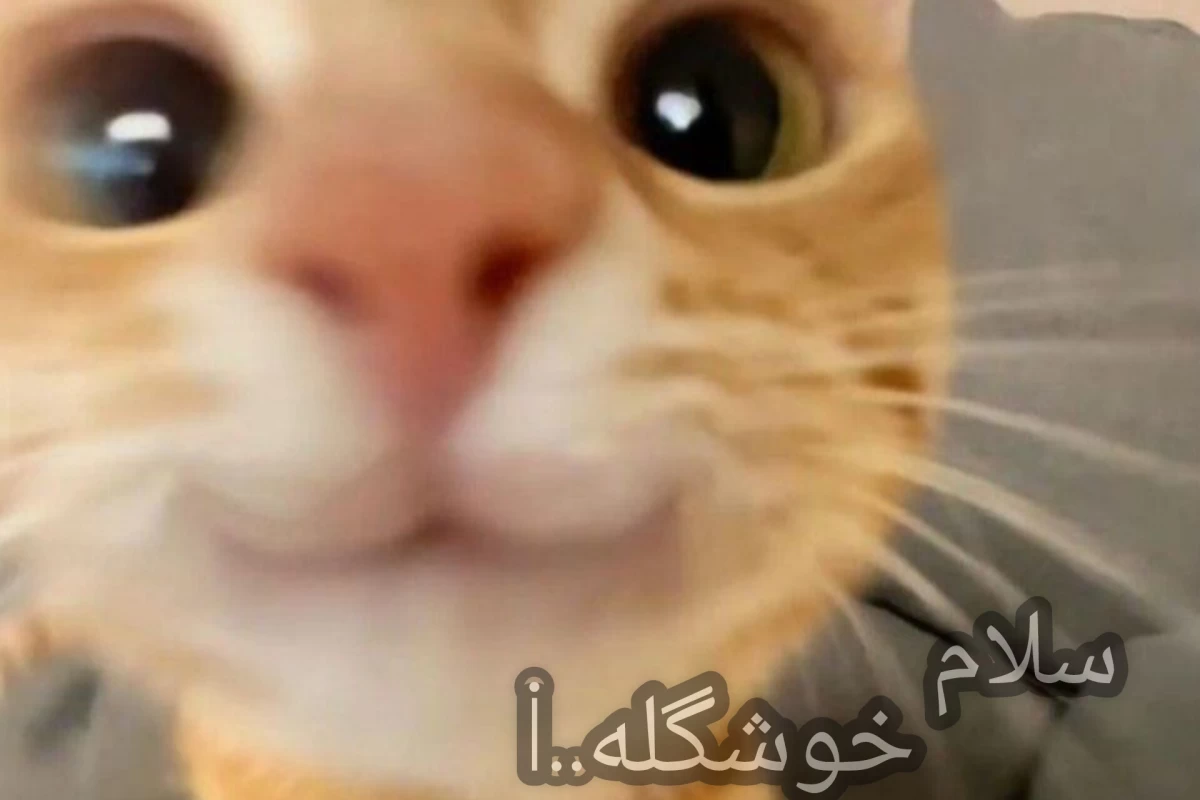 عکس نظر بنده برای تستچی بهتر....