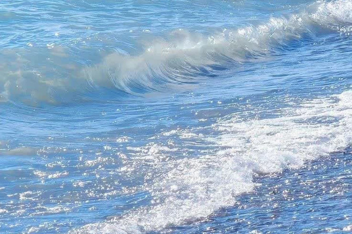 عکس ایده نقاشی