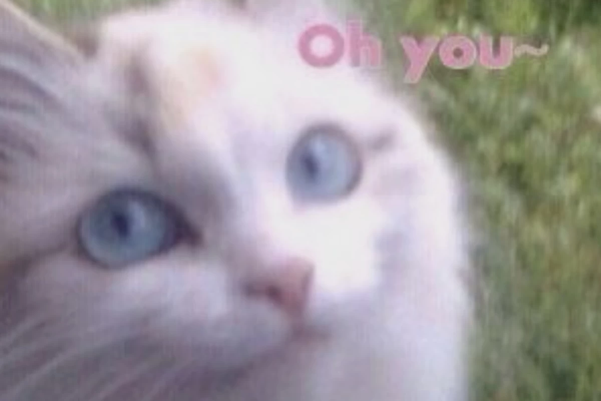 عکس اظطراب اجتمایی و افراد؟