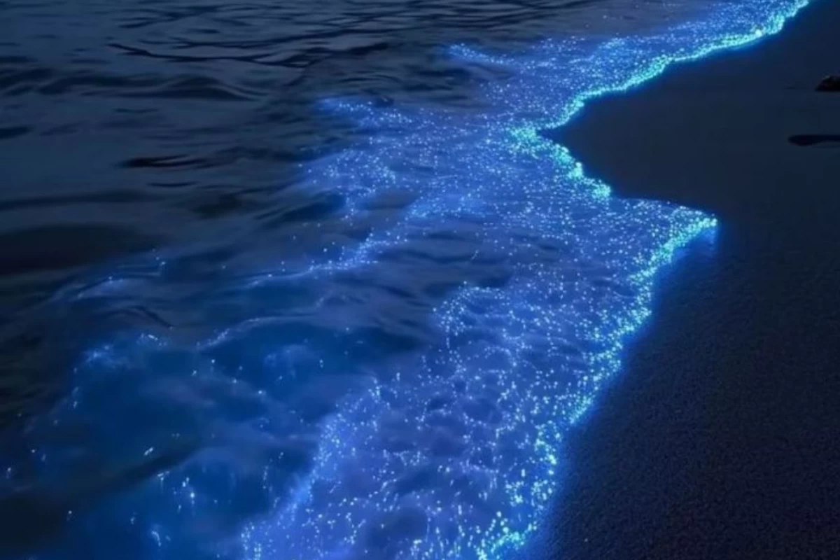 عکس جایی که قول‌ها مردند