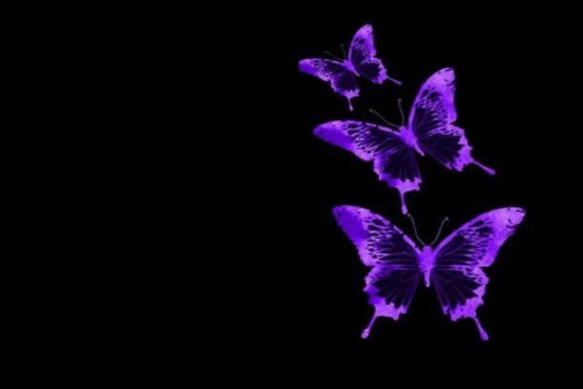 عکس میخوام خودم رو معرفی کنم