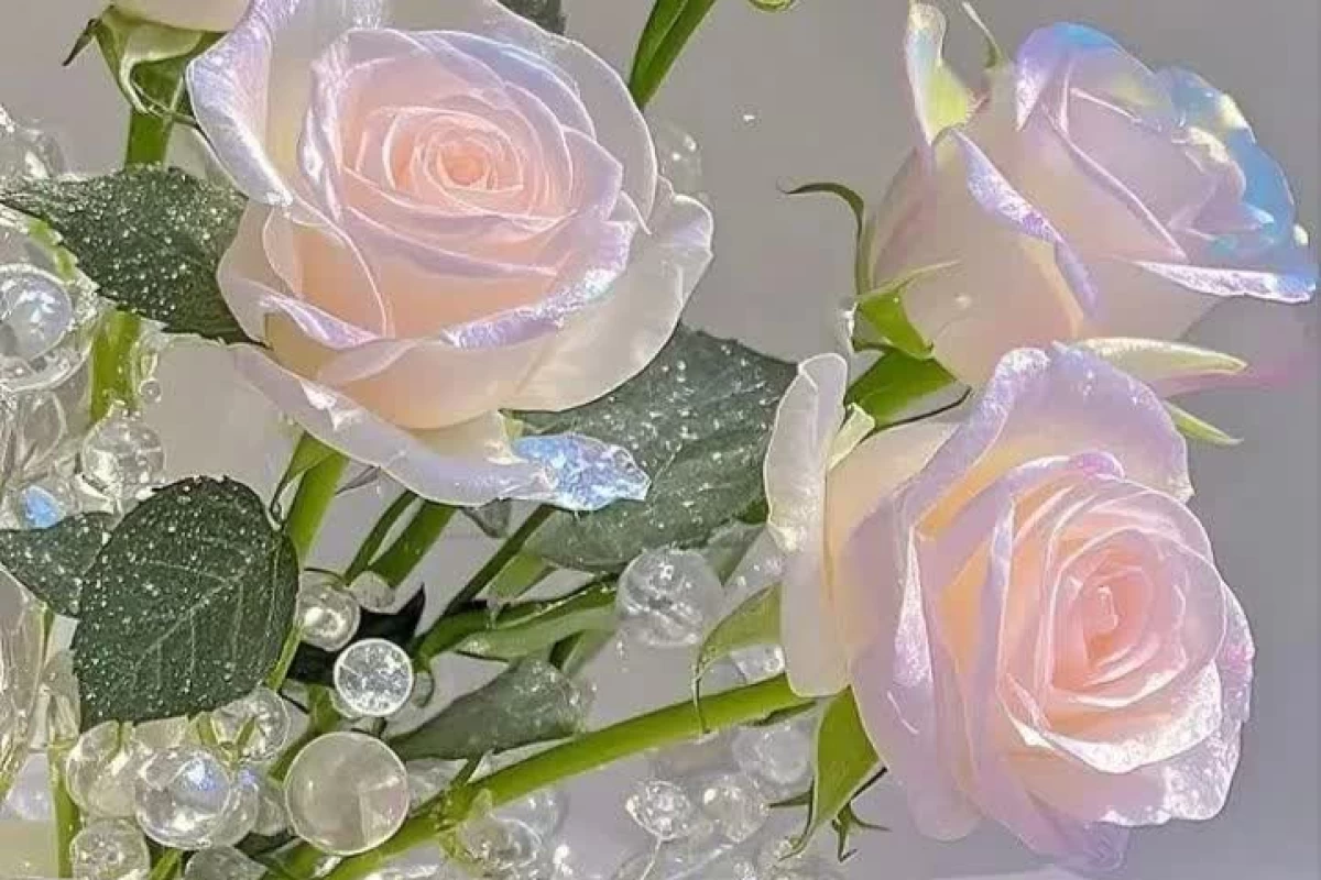 عکس بهترین دلنوشته ها