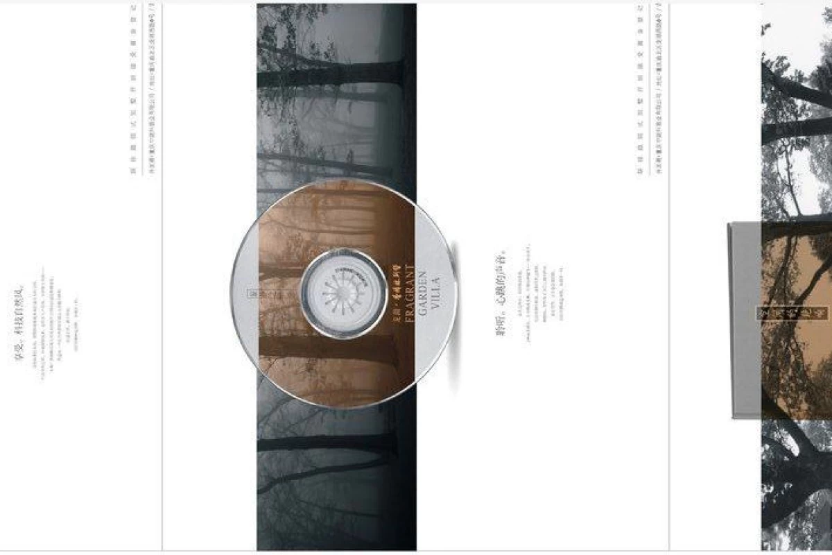 عکس ۱۰ تا از بهترین سمفونی های جهان