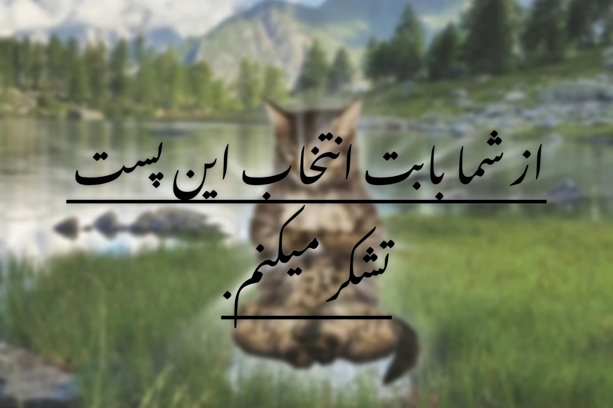 عکس گربه شرودینگر