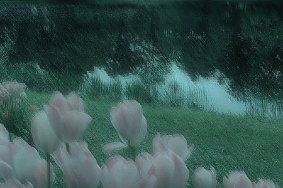 عکس دیدار مجدد