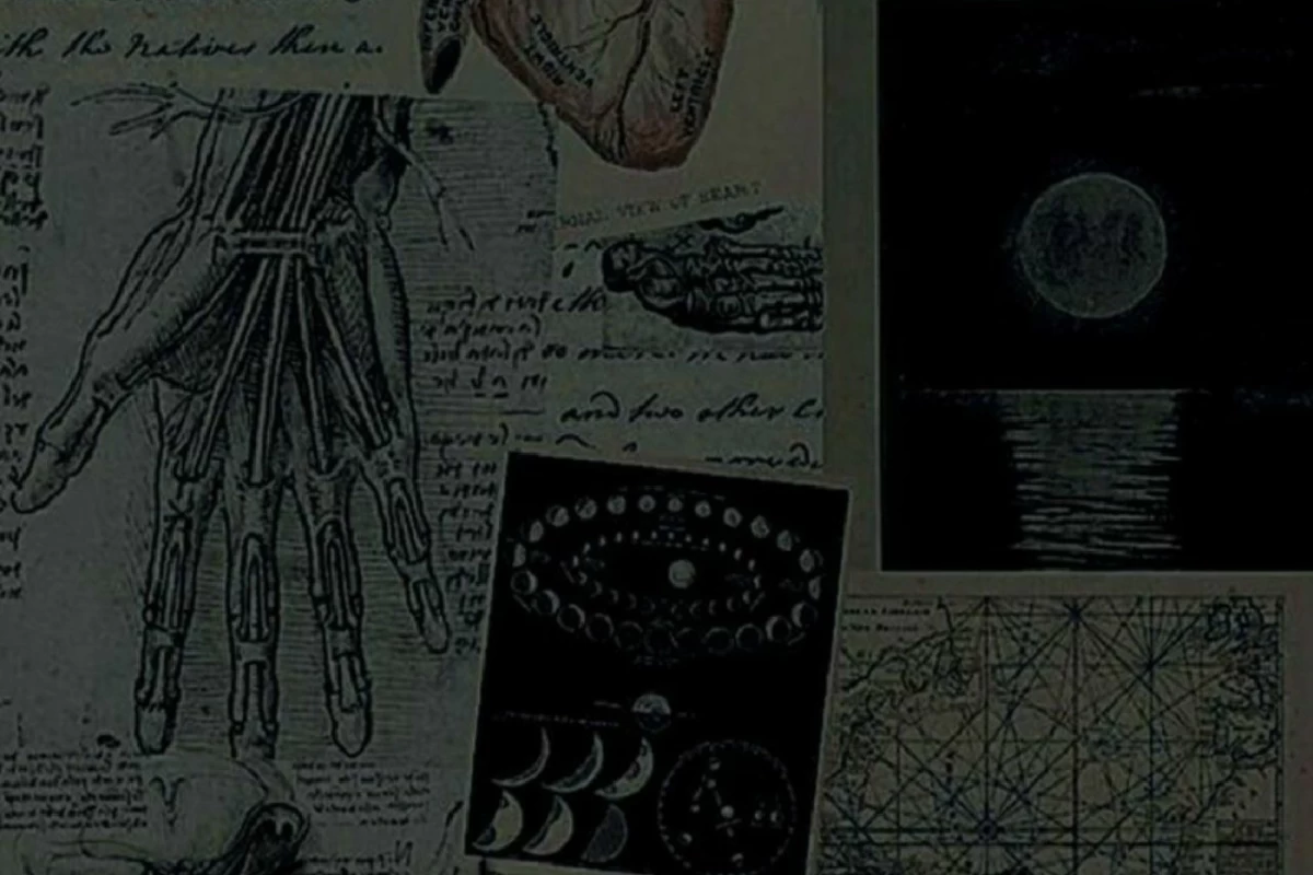 عکس چقدر به کارهایی که شروع می‌کنی پایبندی؟