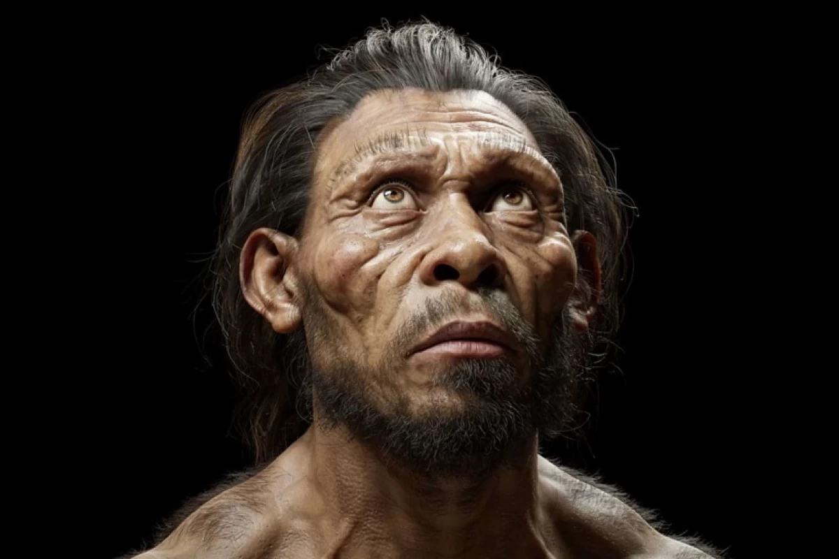 عکس سیر تکامل انسان، انواع انسان های اولیه