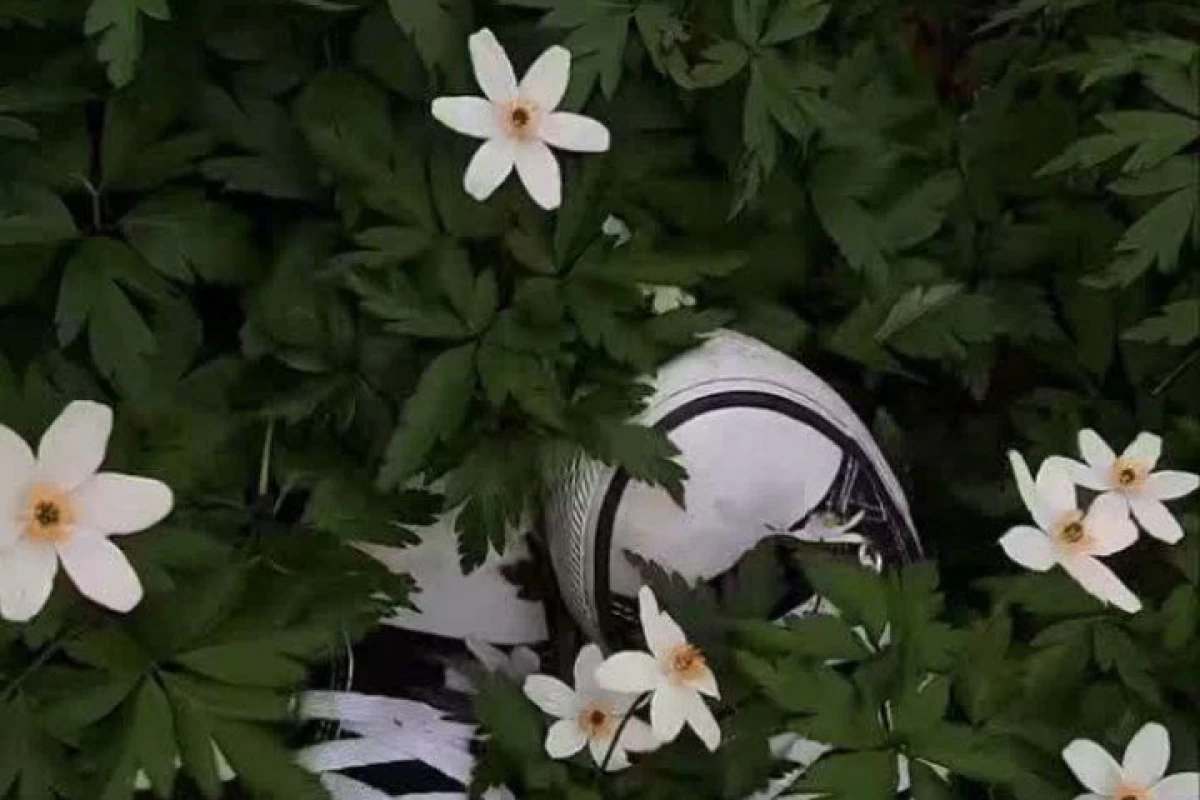 عکس راز پشت پرده...!!