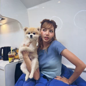 عکس نـیـآ / Nıa