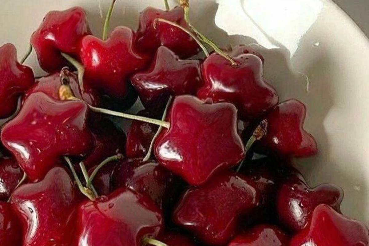 عکس بس کن برگرد همون جایی که بودی