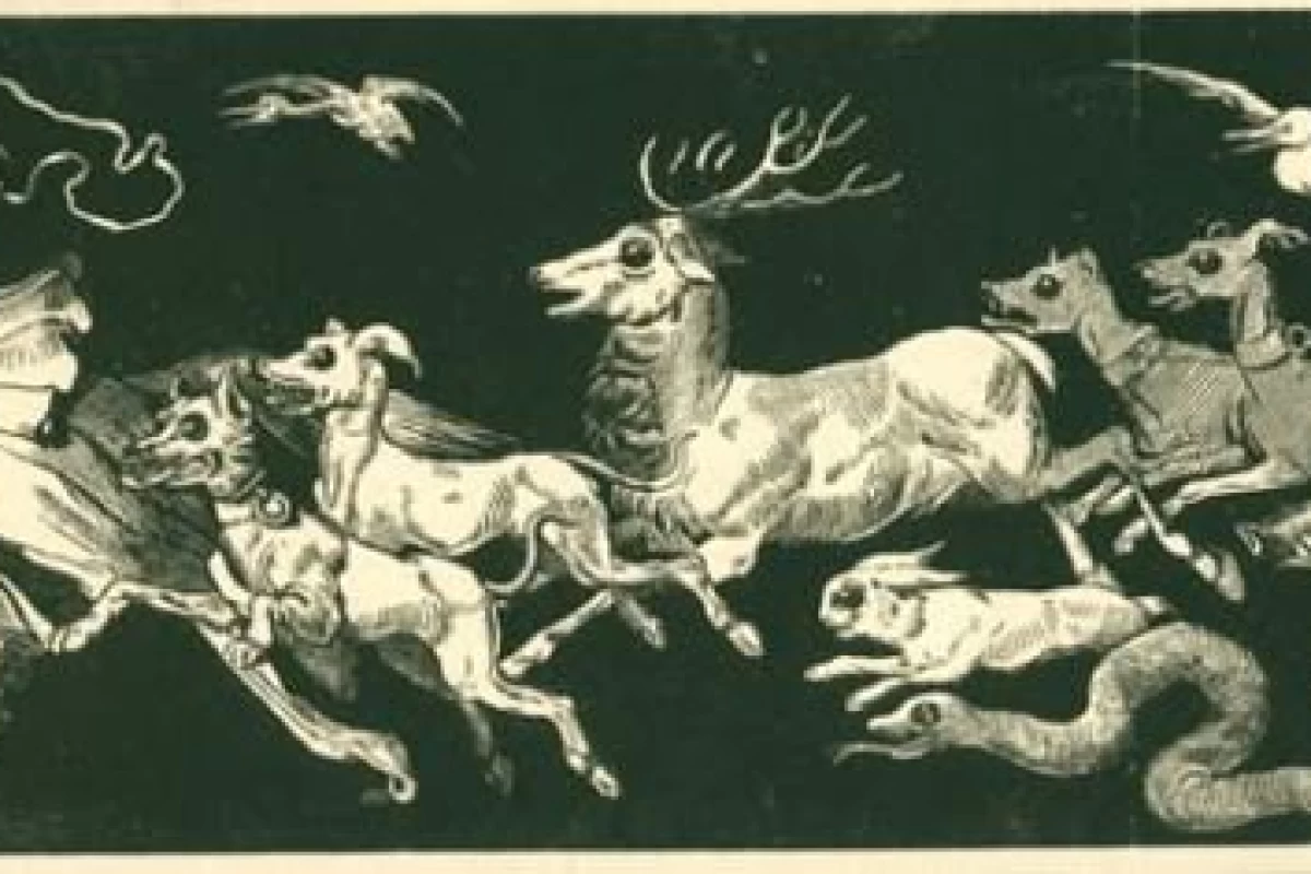 عکس فکت از دریکو مالفوی