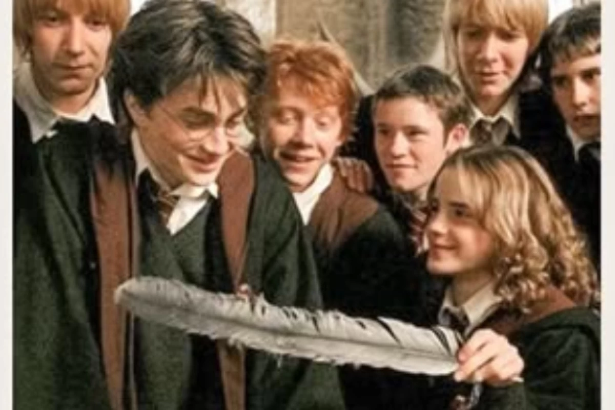 عکس تو یه پاترهدی اگه ...