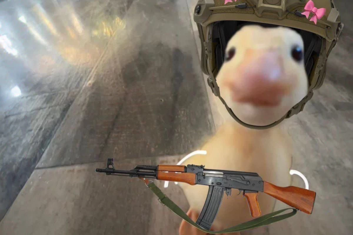 عکس بفرمایید میم🤙(part 2)