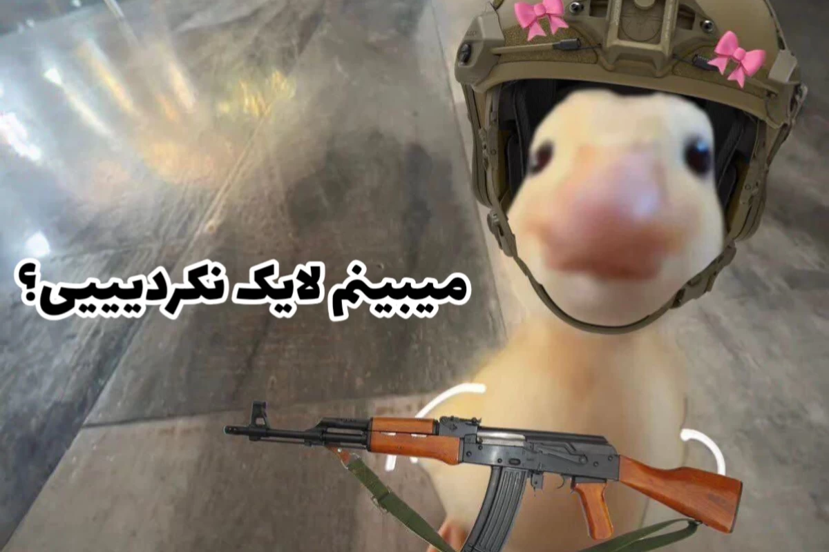 عکس 𝚆𝚑𝚘 𝚒𝚜 𝚖𝚊𝚛𝚗𝚢?