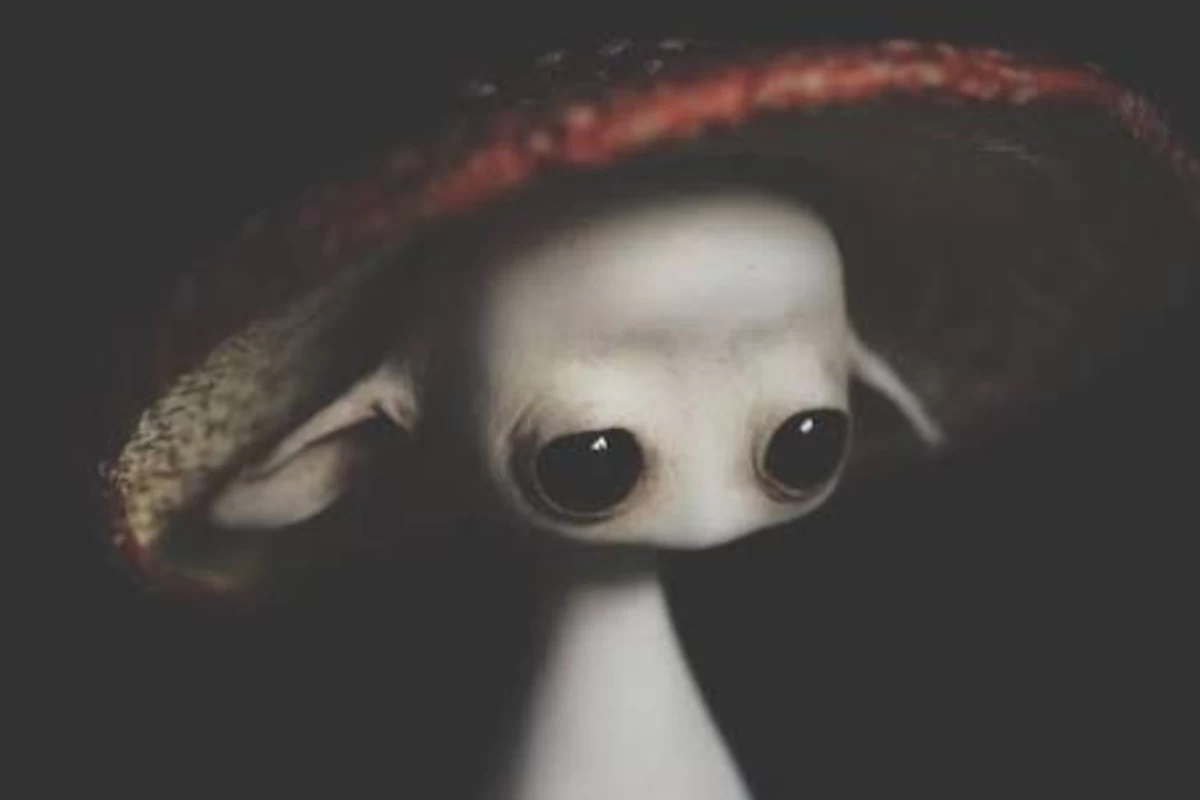 عکس عروسک‌های ماهیتا: هنری از دل خیال و طبیعت