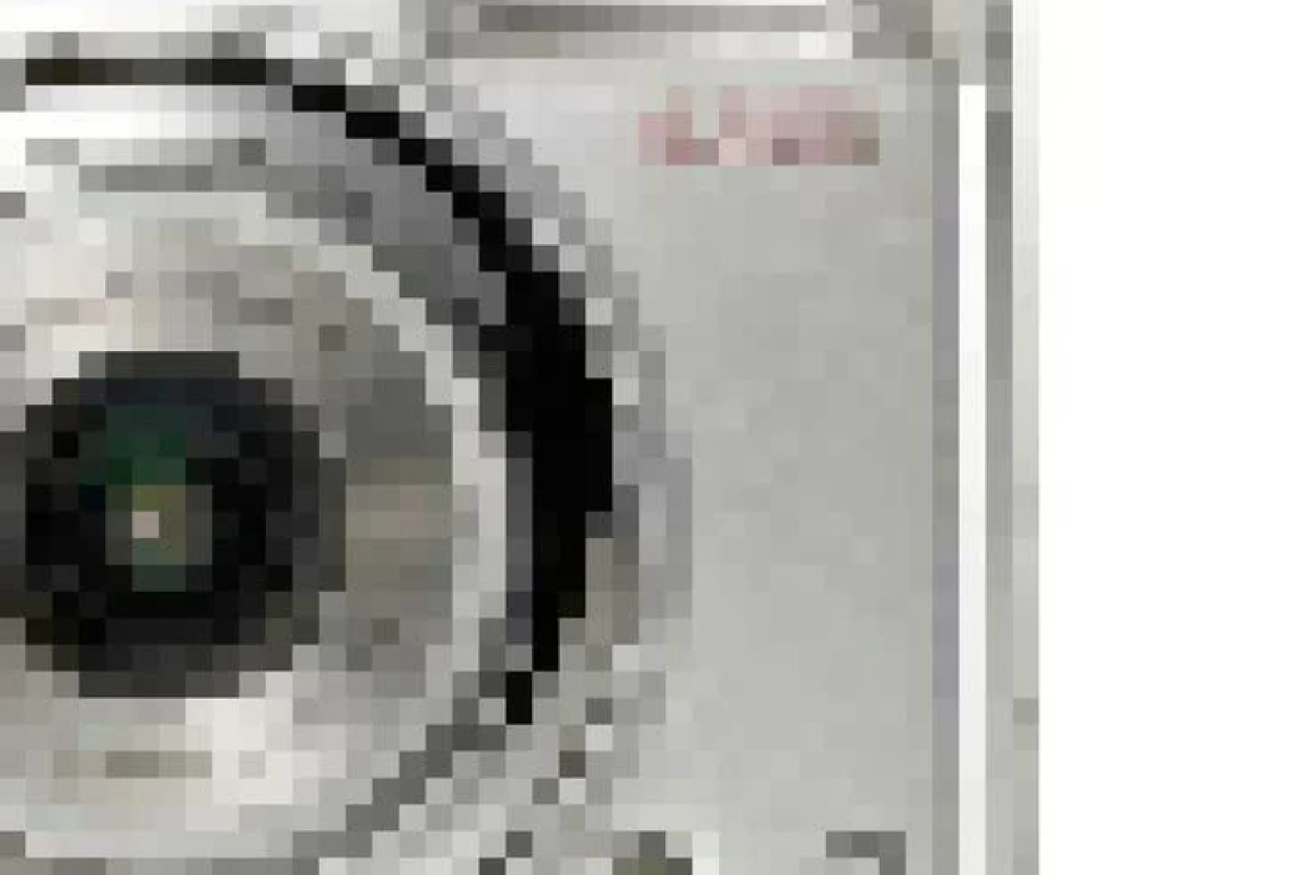 عکس مغزت رو اصلاح کن!