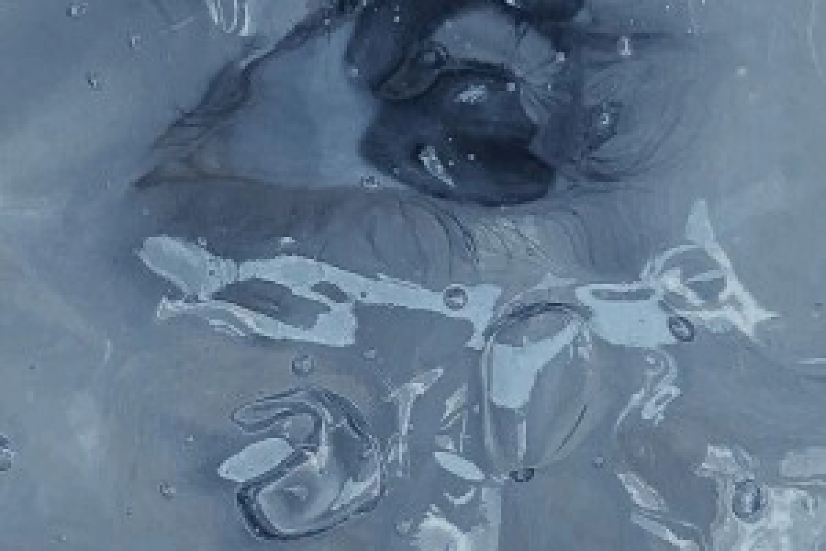 عکس بیوگرافیم