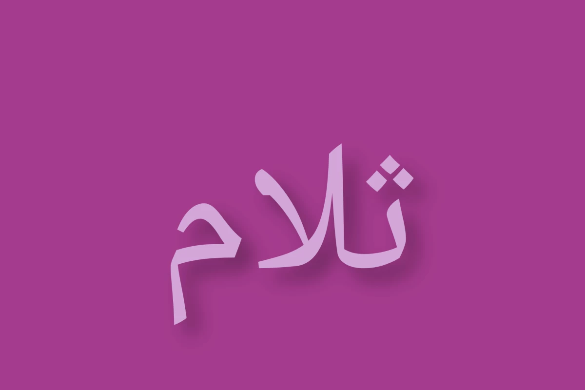 عکس بریم ببینیم کاربرا چطور با تستچی آشنا شدنp1