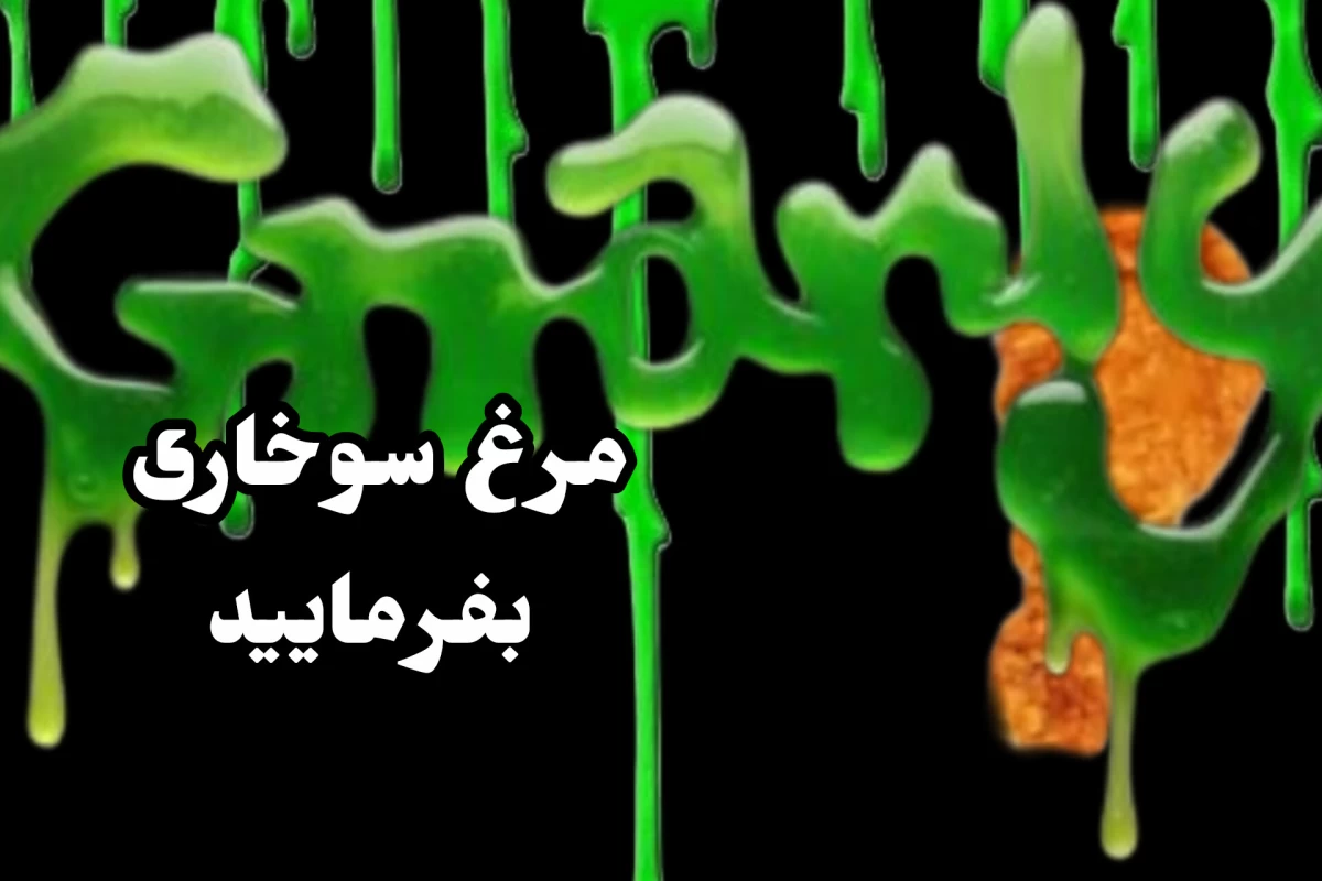 عکس مرغ سوخاری Gnarly?