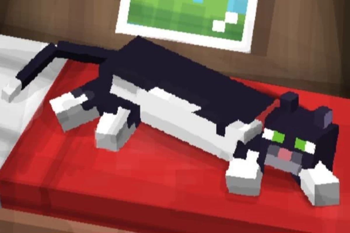 عکس 🍏:: سازنده فان میشود!