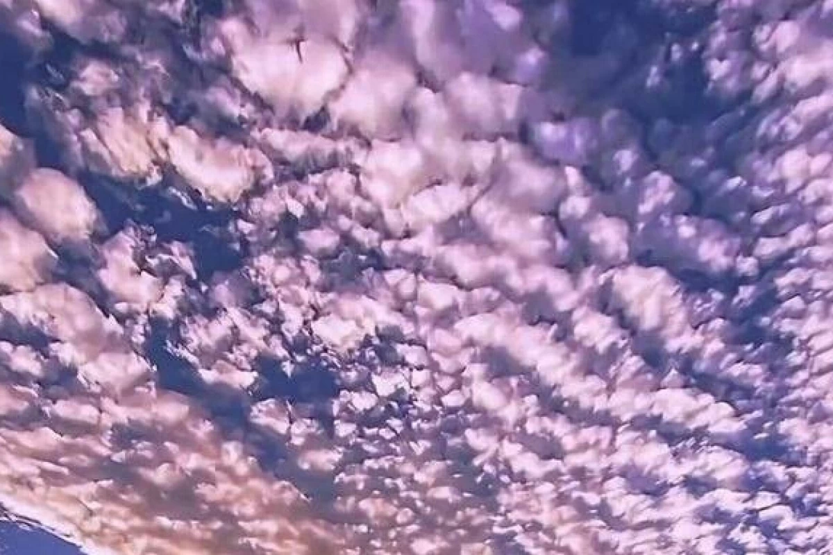 عکس مدرسه رویاهاتو بساز !