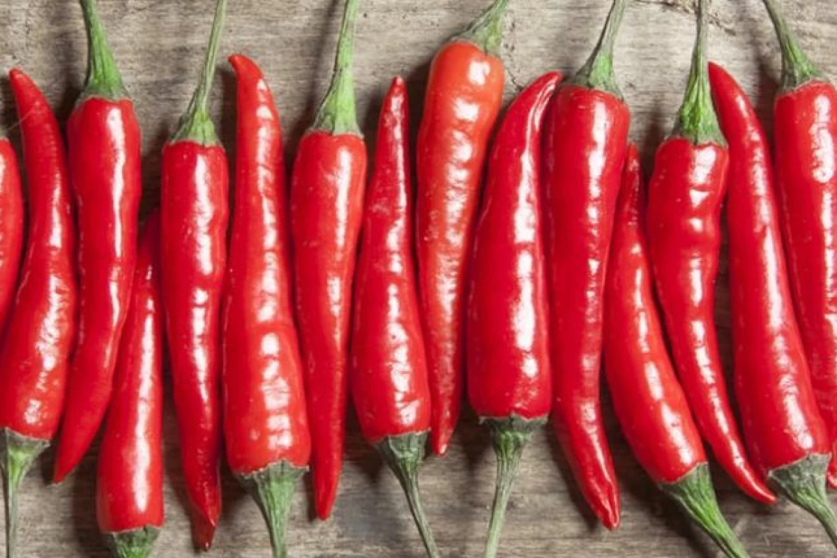 عکس نماد اژدها در فرهنگ چین