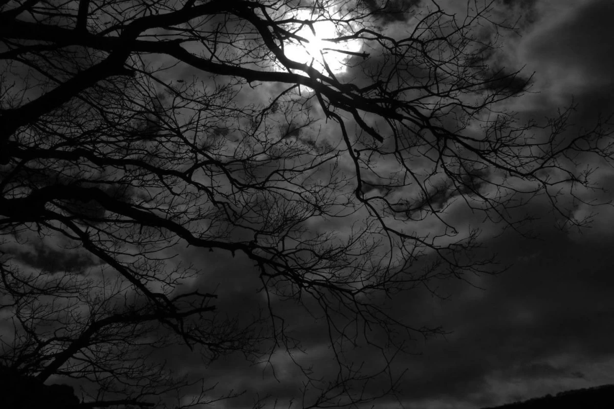 عکس چقدر حسادتت را کنترل می‌کنی؟