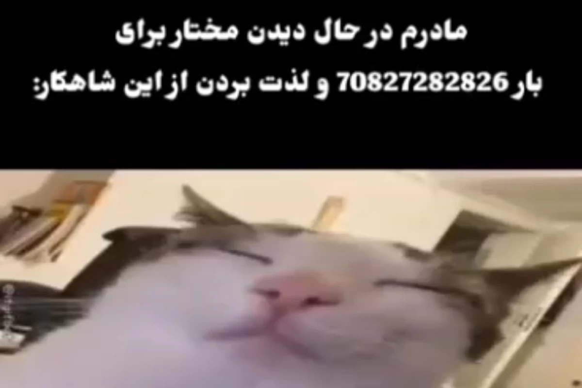 عکس میم p1