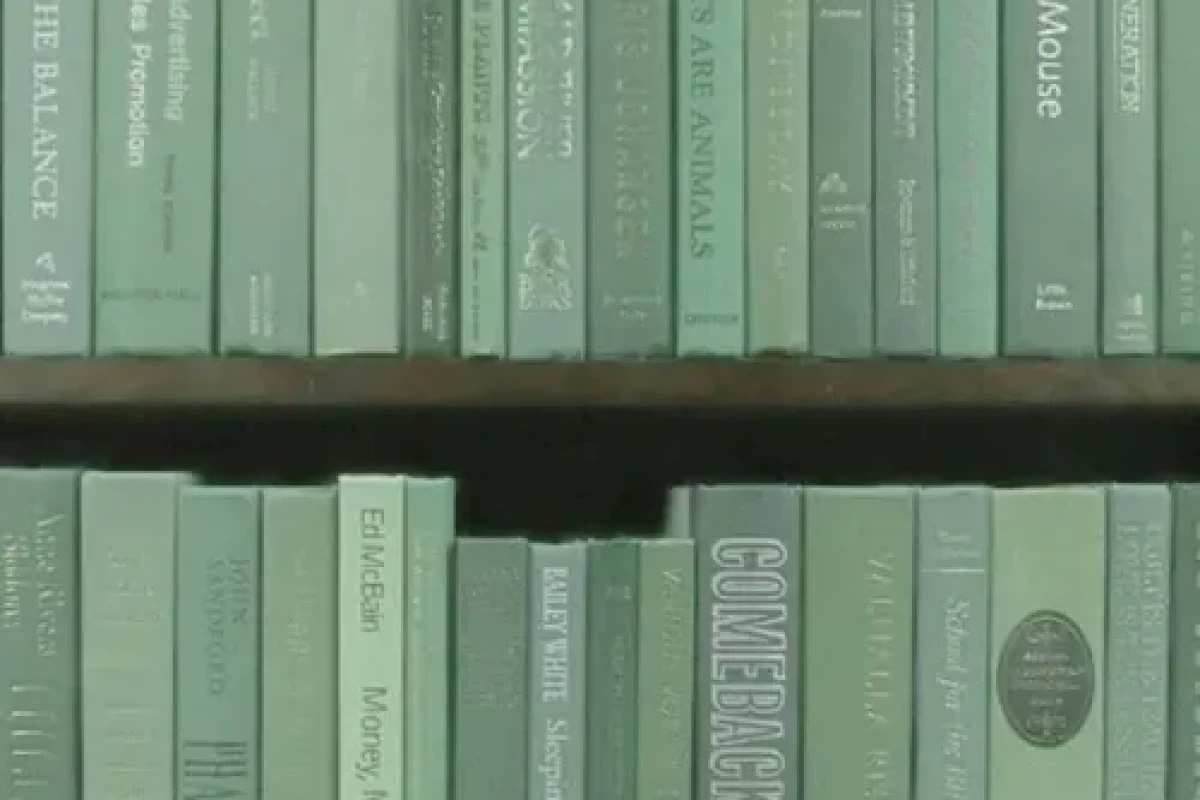 عکس فکر کردی به نظرت اهمیت میدم؟